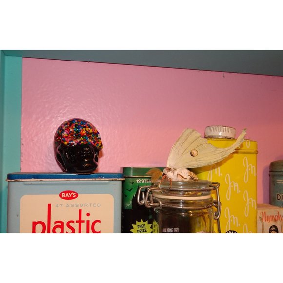 Small Rainbow Sprinkles Resin Skull oddity curiosity witchy pastel goth gothic - Picture 2 of 15